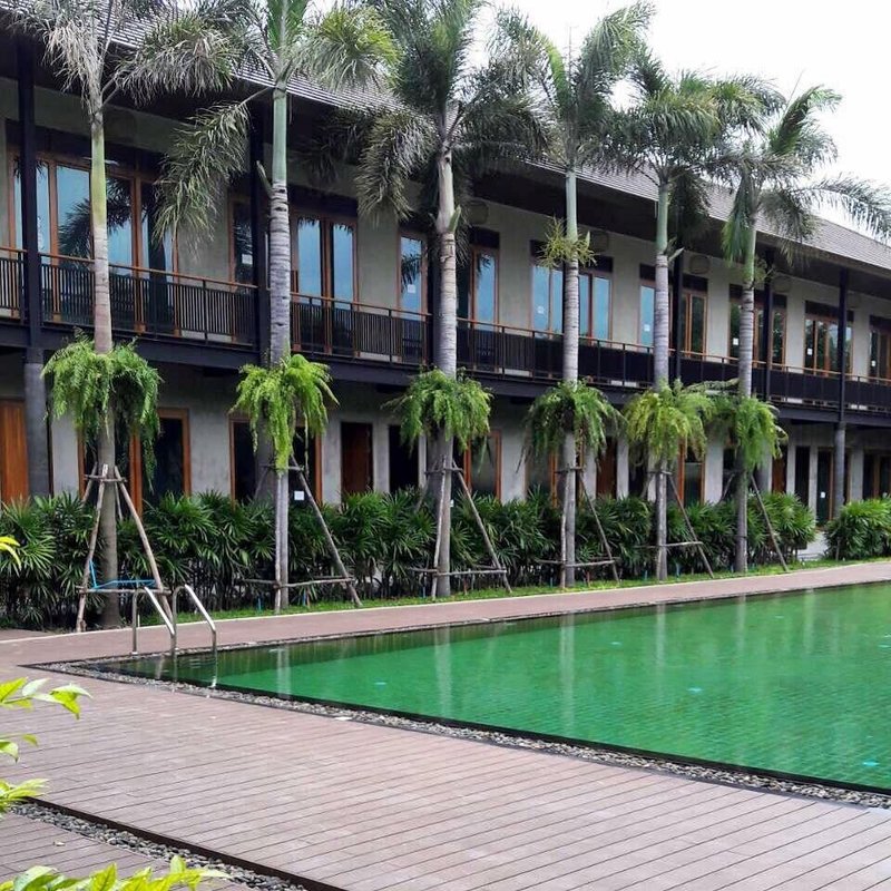 The Buffalo Amphawa