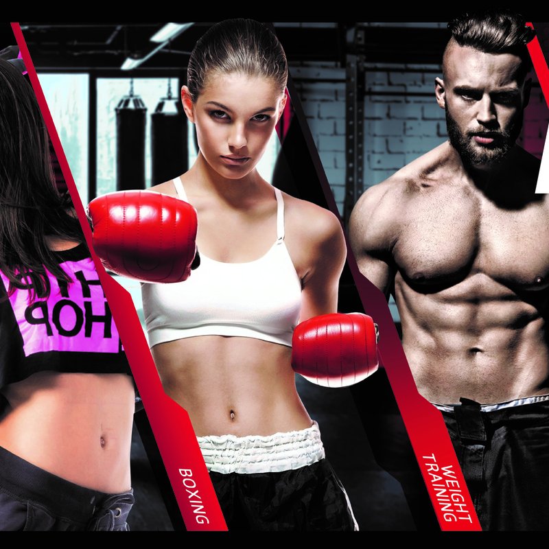 Fit Mania