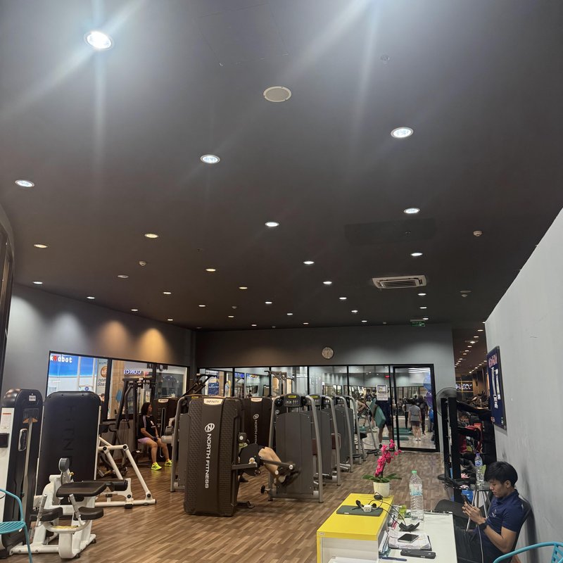 Three Up fitness