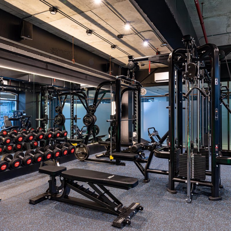 Motion Fitness