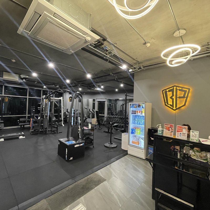 Body Project Vibhavadi 8
