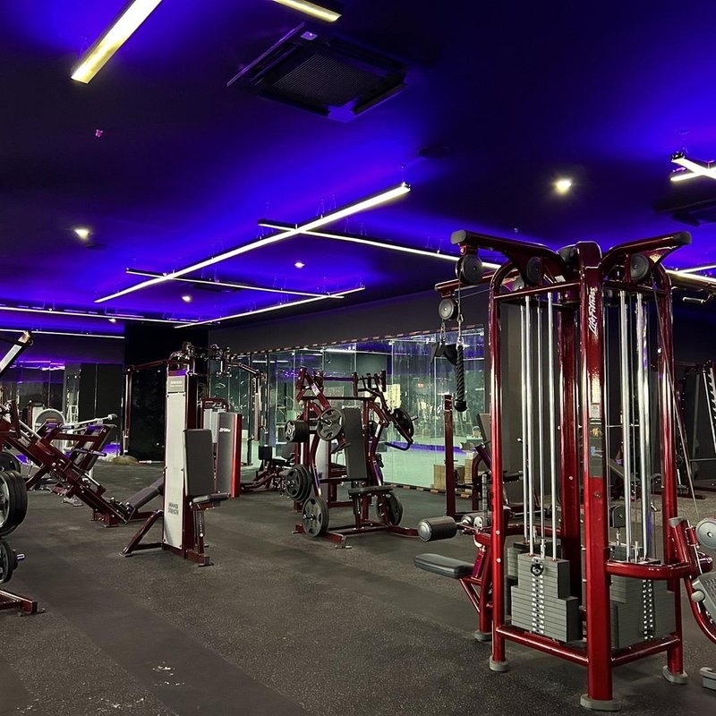 Gym Monkey
