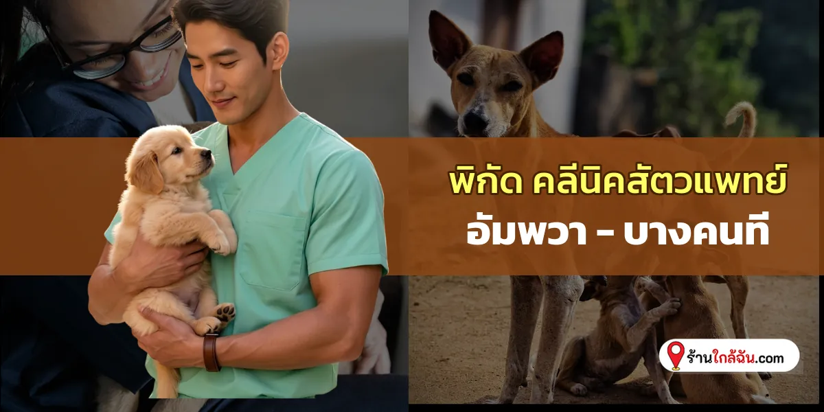 เปิดพิกัดลับ 5 อัมพวา – บางคนที คลีนิครักษาสัตว์ บริการเป็นกันเอง อัปเดตใหม่ล่าสุด จดลงลิสต์ได้เลย 2569