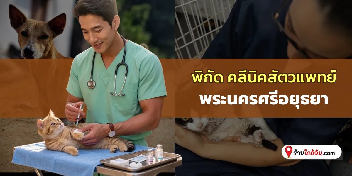 รวมพิกัด 5 คลีนิครักษาสัตว์ พระนครศรีอยุธยา ตรวจวินิจฉัยแม่นยำ อัปเดตใหม่ ตามไปดูกันได้ 2569