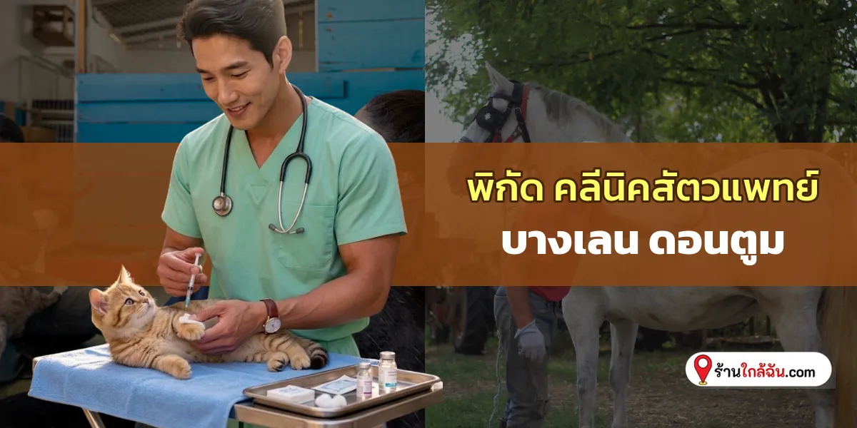 แวะส่อง 5 คลีนิครักษาสัตว์ บางเลน – ดอนตูม บริการตรวจสุขภาพแม่นยำ อัปเดตล่าสุด น่าพาน้องไป 2569