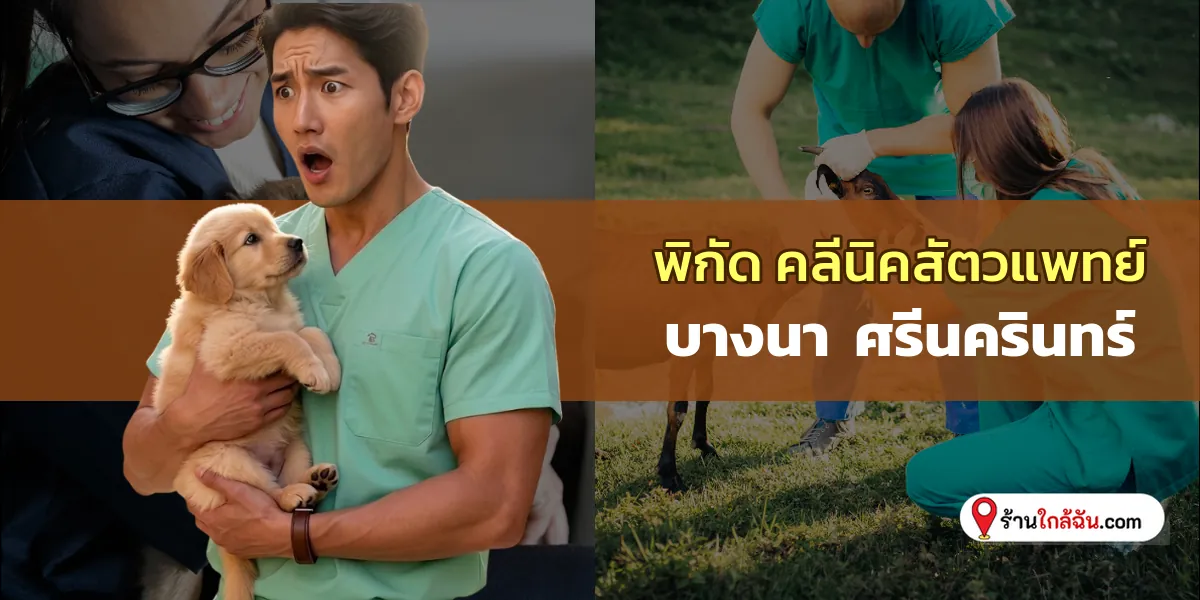 ตามรอย 6 คลีนิครักษาสัตว์ บางนา – ศรีนครินทร์ เปิดบริการทุกวัน อัปเดตล่าสุด ตอบโจทย์ทาสหมาทาสแมว 2569