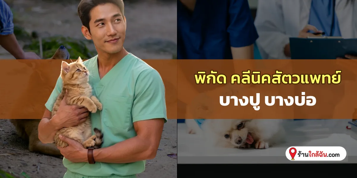 ชี้เป้า 6 บางปู – บางบ่อ คลีนิครักษาสัตว์ วินิจฉัยโรคแม่นยำ เช็คลิสต์อัปเดตใหม่ เซฟเก็บไว้ด่วน 2569