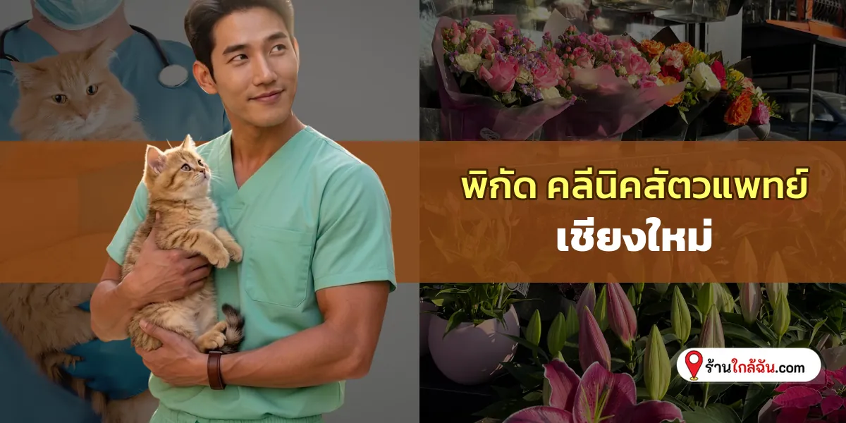 แจกพิกัด 5 คลีนิครักษาสัตว์ เชียงใหม่ บริการระดับพรีเมียม อัปเดตใหม่สดๆ ร้อนๆ น่าไปสุดๆ 2569