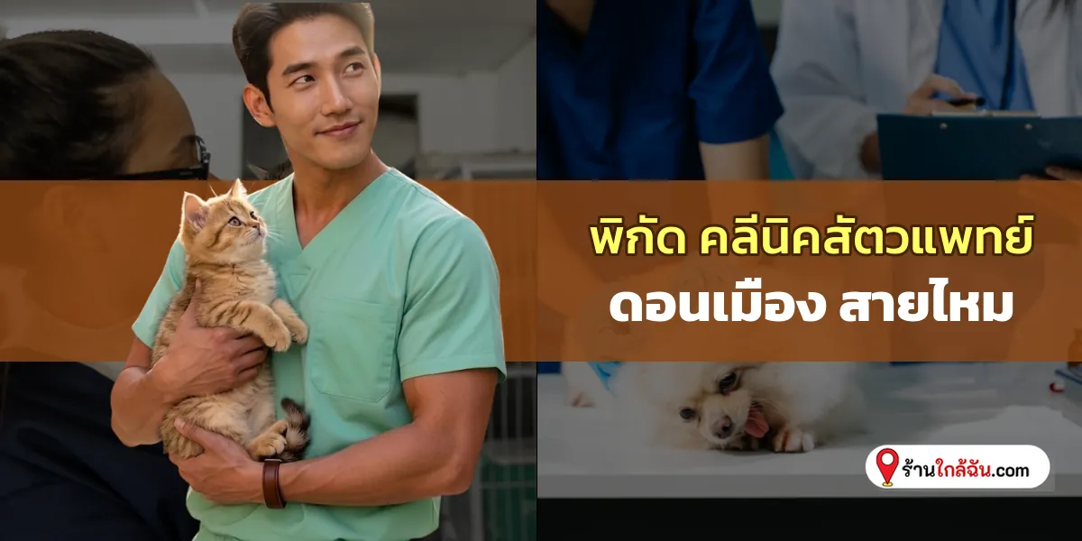 ส่องพิกัด 10 คลีนิครักษาสัตว์ ดอนเมือง – สายไหม ไว้ใจเรื่องสุขภาพสัตว์ อัปเดตล่าสุด เซฟเก็บไว้เลย 2569
