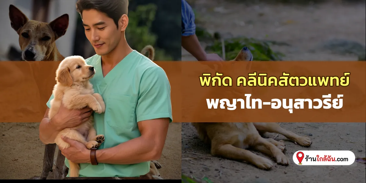 คัดมาให้ 6 พญาไท-อนุสาวรีย์ คลีนิครักษาสัตว์ ปลอดภัยดูแลใกล้ชิด เช็คลิสต์ล่าสุด ไม่ผิดหวังชัวร์ 2569