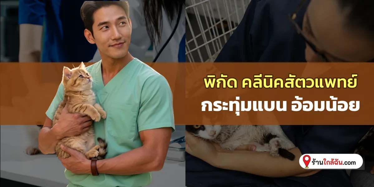 พามารู้จัก 8 คลีนิครักษาสัตว์ กระทุ่มแบน – อ้อมน้อย ทีมแพทย์พร้อมดูแล เช็คลิสต์ล่าสุด ไม่ผิดหวังแน่นอน 2569