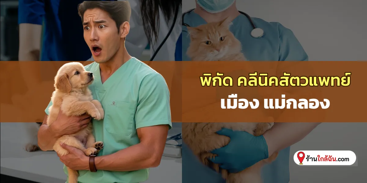 รวมฮิตติดดาว 7 คลีนิครักษาสัตว์ เมือง – แม่กลอง รักษาฉับไว ฉบับอัปเดตล่าสุด ถูกใจแน่นอน 2569