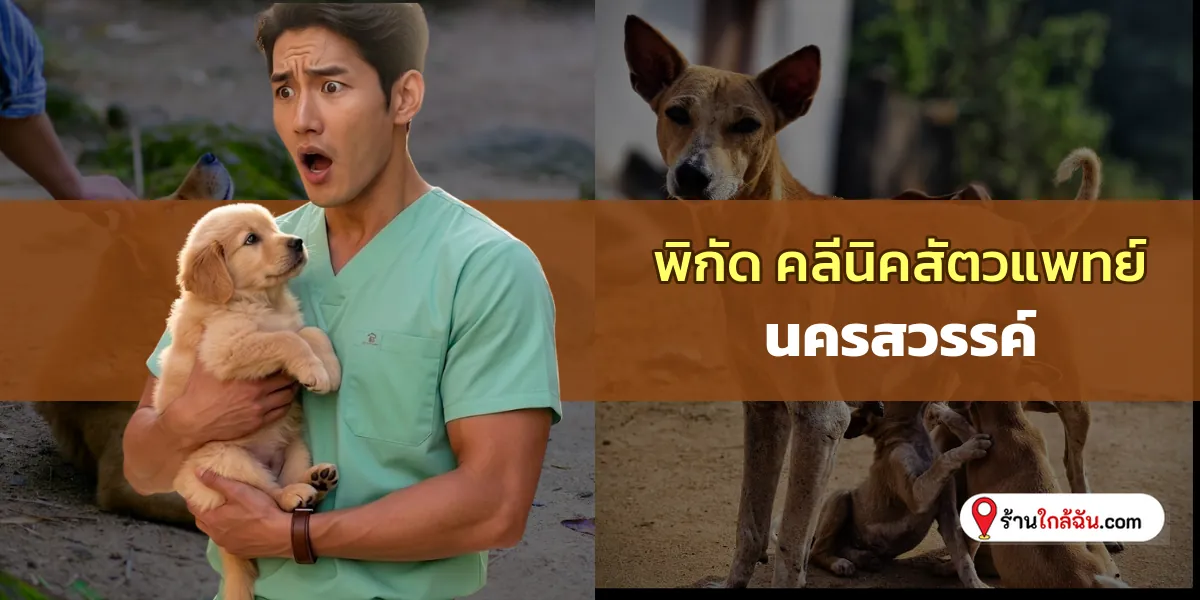 พาไปดู 6 คลีนิครักษาสัตว์ นครสวรรค์ โรงพยาบาลครบวงจร อัปเดตพิกัดใหม่ ตอบโจทย์คนรักสัตว์ 2569