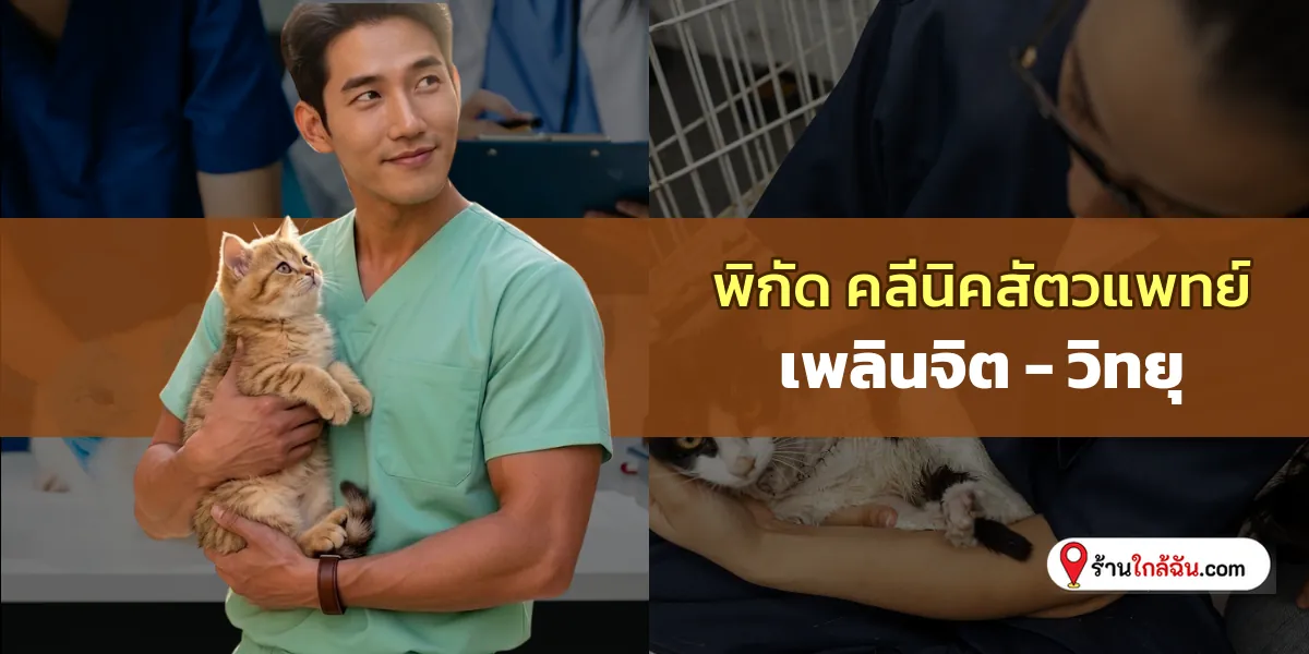 ชี้เป้า 5 คลีนิครักษาสัตว์ เพลินจิต – วิทยุ ใส่ใจทุกรายละเอียด อัปเดตล่าสุด ไว้ใจได้แน่นอน 2569