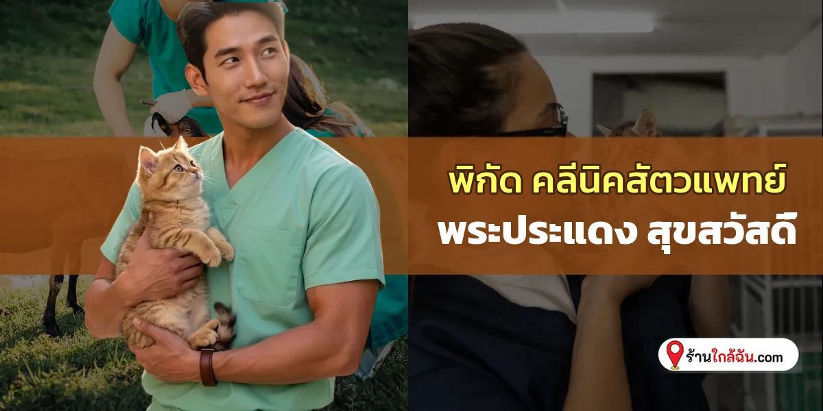 บอกต่อ 8 คลีนิครักษาสัตว์ พระประแดง- สุขสวัสดิ์ สัตวแพทย์มือเบา อัปเดตล่าสุดปีนี้ สายทาสต้องโดน 2569