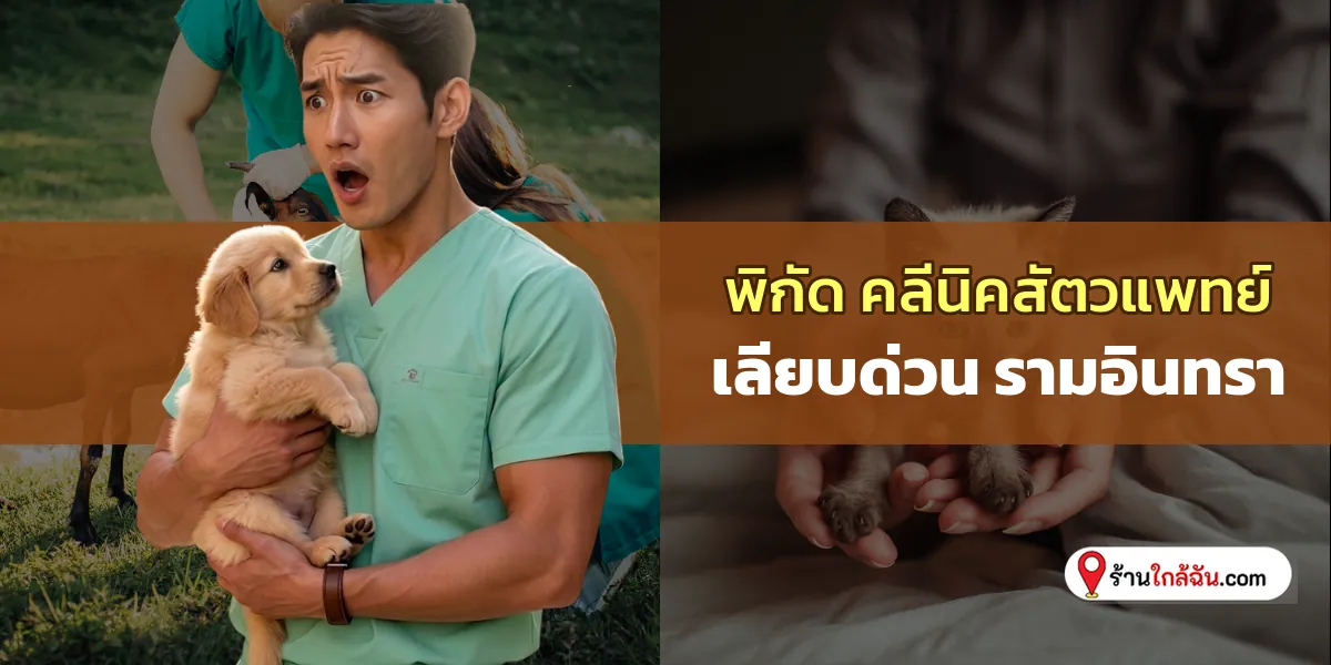 ลิสต์แนะนำ 7 คลีนิครักษาสัตว์ เลียบด่วน – รามอินทรา บริการประทับใจ อัปเดตล่าสุด ถูกใจเหล่าเจ้านาย 2569