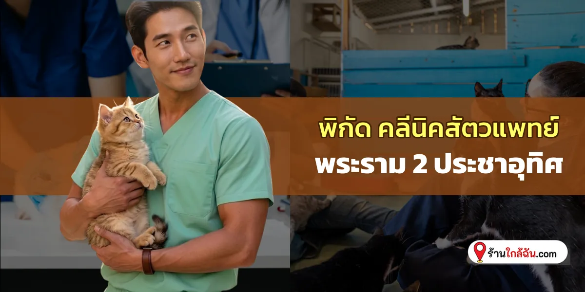 แวะเช็คอิน 8 คลีนิครักษาสัตว์ พระราม 2-ประชาอุทิศ ดูแลดุจลูกหลาน อัปเดตพิกัดใหม่ ไม่ควรพลาด 2569