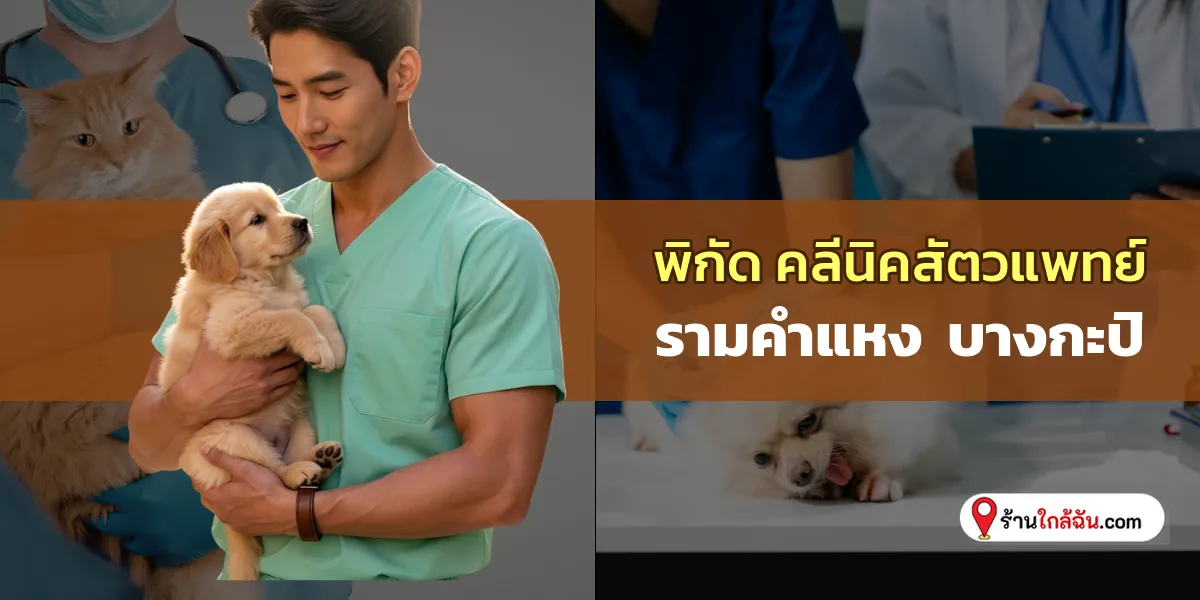 ปักหมุด 8 รามคำแหง – บางกะปิ คลีนิครักษาสัตว์ โรงพยาบาลครบวงจร เช็คลิสต์ใหม่ ต้องไปโดน 2569