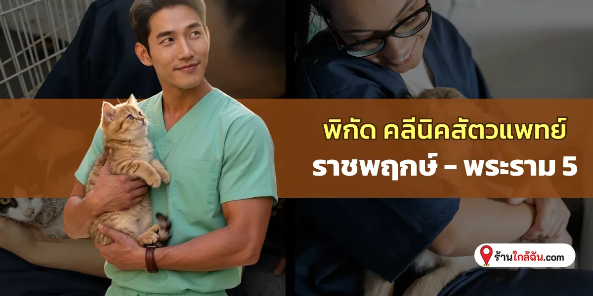 มัดรวม 6 ราชพฤกษ์ – พระราม 5 คลีนิครักษาสัตว์ รักษาเก่งตรงจุด ลิสต์ใหม่ล่าสุด ต้องลองแวะไป 2569