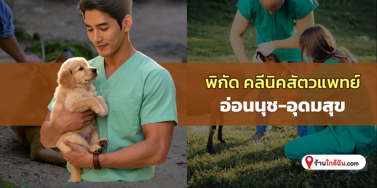 รวมพิกัด 8 อ่อนนุช-อุดมสุข คลีนิครักษาสัตว์ เดินทางสะดวก อัปเดตปีนี้ ไปง่ายไม่มีหลง 2569