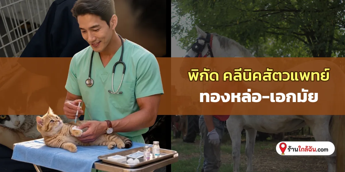 แนะนำ 7 คลีนิครักษาสัตว์ ทองหล่อ-เอกมัย คุณหมอใจดี ล่าสุด พาน้องๆ ไปใช้บริการได้เลย 2569
