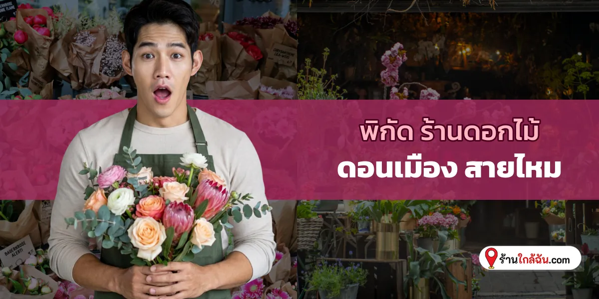 คัดยอดฮิต 10 ร้านดอกไม้ จัดสวยเนี้ยบ ดอนเมือง – สายไหม อัปเดตสดๆ ร้อนๆ ถูกใจชัวร์ 2569