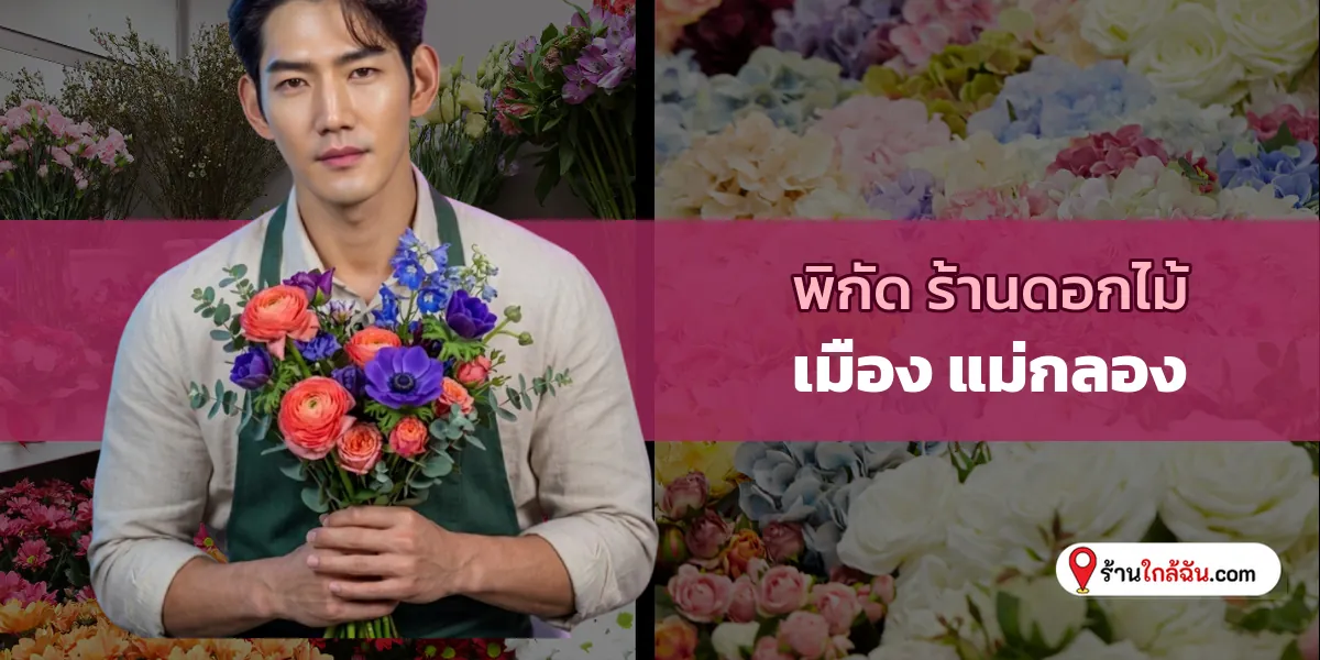 อัปเดตพิกัด 5 ร้านดอกไม้ เกรดพรีเมียม เมือง – แม่กลอง ต้องเซฟไว้ 2569