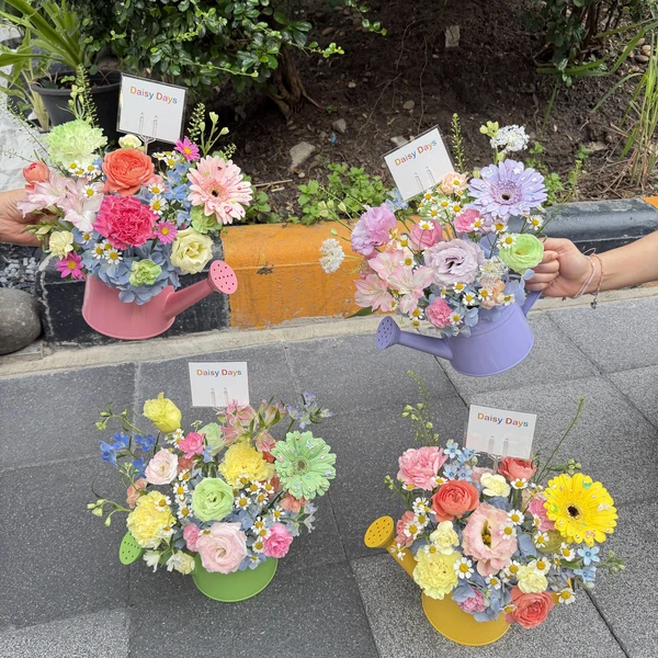 Daisydays Flower