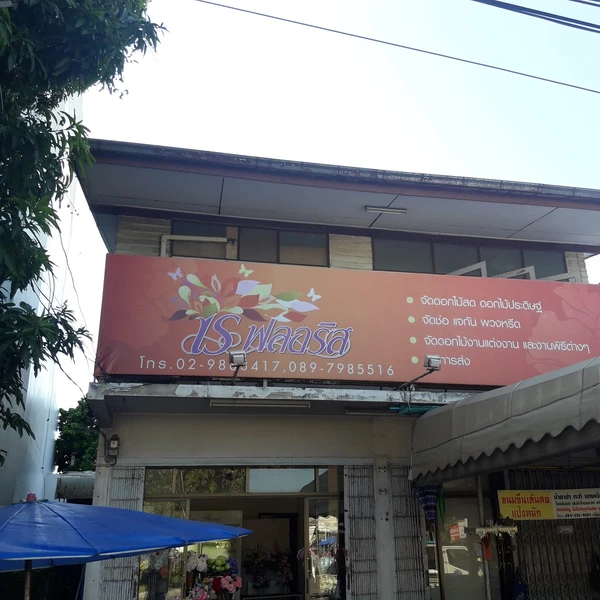 เร ฟลอริส