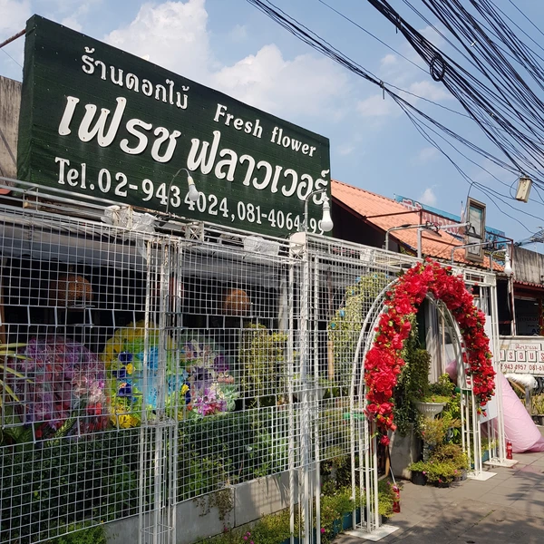 เฟรช ฟลาวเวอร์ fresh flower shop