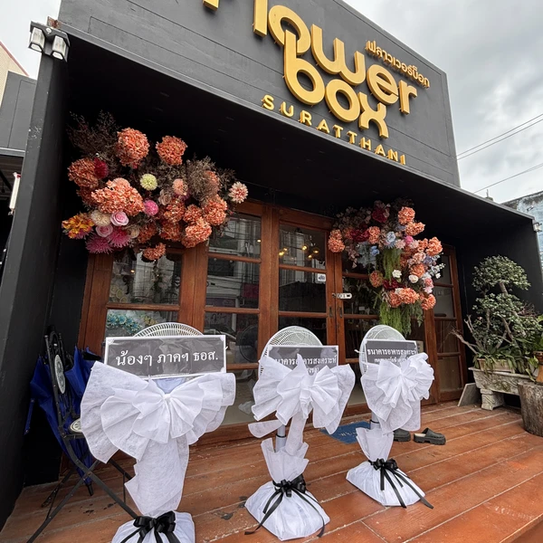 Flower box สุราษฎร์ธานี