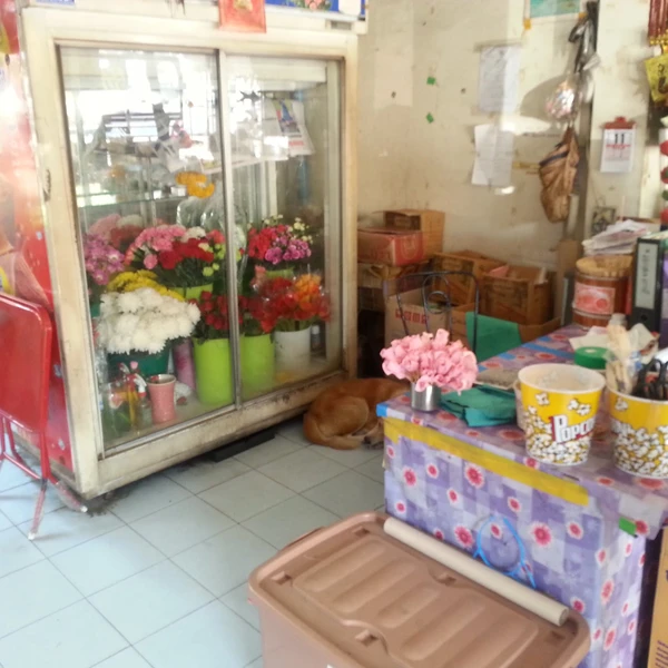 อัญชัญดอกไม้สดตลาดบางเขน
